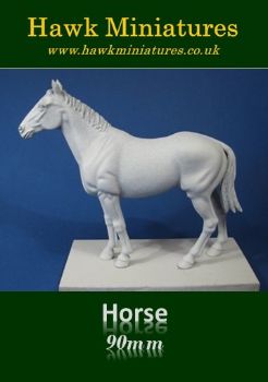 Horse, a plain undressed horse